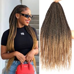 Goddess Braids For Women Box Braids Crochet Hair Pre Stretched Synthetic Hair Rainbow Braid For Kids 24inch Cornrows Afro Braids