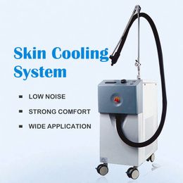 -20C Air Cooling Skin Chiller Cryo Machine Low Temperature Cooling Pain Release Alleviate Fatigue Laser Treatment Massage Salon