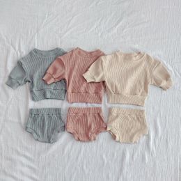 Clothing Sets 2PCS Solid Baby Full Sleeve Sweater PP Shorts