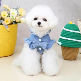 Dog Apparel 2023 Cat Jeans Jacket Blue Denim Vest Harness Pet Puppy Clothes Chihuahua Yorkie Pomeranian Schnauzer