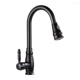 Kitchen Faucets Black Paint Pull Out Rotatable Faucet Mixer Sink Accessories And Cold