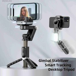 Stabilizers Desktop Handheld Gimbal Stabilizer Fill Light Selfie Stick Tripod Wireless Remote Portable Phone Stand Holder for Cell Phone New Q231116