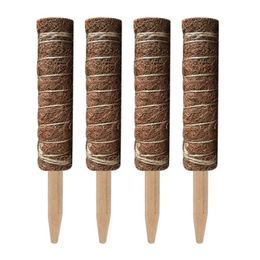 Garden Supplies Other 4 Pack Coir Totem Pole Moss For Plant Support Extension Climbing Indoor Plants Creepers 50cm