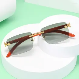 Sunglasses Classic Vintage Rimless Square Leopard Head Women Men Fashion Designer Travel Wooden Metal Sun Glasses