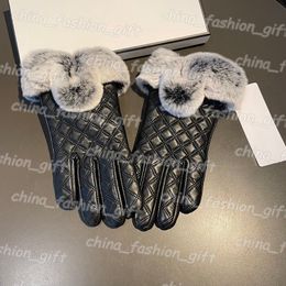 Winter Designer Gloves Women Leather Gloves Fashion Luxury Mittens Touch Screen Glove Cashmere Inside Warm Mittens