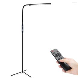 Floor Lamps Modern LED Lamp Remote Control Dimming Reading Eye Protection 12 Watts Standing For Living Room Bedroom