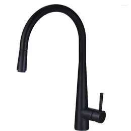 Kitchen Faucets Black Brushed Gold All Copper Pull Out Rotatable Cold And Sink Faucet