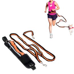 Dog Collars & Leashes Pet Running Leash For Dogs Hand Freely Adjustable Waist Rope Elastic Bungee Jogging Lead Products