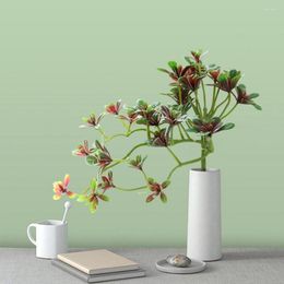 Decorative Flowers Artificial Plant Beautiful Maintenance Free DIY Succulent Fake Wreath For Office