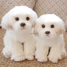 Plush Dolls Maltese Stuffed Dog Dolls Plush Toy Cute Simulation Pets Fluffy Baby Birthday Gifts Christmas Children Malzis Puppy DropshippingL231117