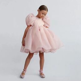 simple Pink Short Puff Sleeves Flower Girl Dresses For Wedding 2024 Princess O-Neck Organza Knee Length First Communion Gowns