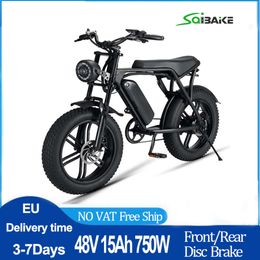 Electric Bike 750W Brushless Motor Electric Bicycle 48V/15AH Retro Adults E bike 20" 4.0 Fat Tyre City Village Snow Mountain MTB