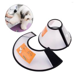 Dog Collars Adjustable Pet Cone For Small E-Collar After Recovery Practical Cat