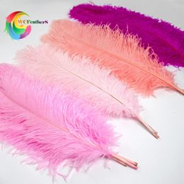 Other Event Party Supplies 10Pcs Lot Real Ostrich Feather Pink for Crafts Wedding Decor Plumes Table Centrepieces Coloured Feathers Decoration 231116