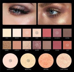 Whole New Highly Pigmented Glitter Eye Shadow Flash Shimmer with Bush Highlighter Palette Face Makeup Tools9003901