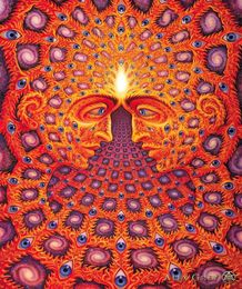 poster 32x24quot 17x13quot Trippy Alex Grey Wall Poster Print Home Decor Wall Stickers poster Decal0231877592