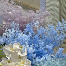 Пинглай сосны высушенные цветы 80-100 г растения настоящая природа декор Бохо домашняя вечеринка DIY Свадебная ветерская тростника букет