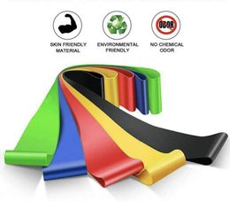 5 Colours Resistance bands Resistances Fitness Exercise Loop Bands with 5 Different Resistance Levels9299685