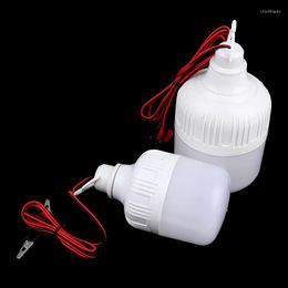 Led Light Ampoule Bombillas 12V Lamp 20W 30W Spot Bulb Portable