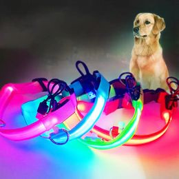 تضيء UP USB قابلة لإعادة الشحن طوق الكلب الكلب القابل للتعديل عاكسة وميض الكلب يتوهج في الليل السلامة
