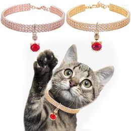 Dog Collars Designer Fancy Pet Collar Rose Gold 14k Durable Accessories Red Rhinestone All Season Medium Necklace For Cat