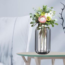 Vases Plants Vase Iron Dried Flower Holder For Home Office Shelf Desktop Decor Modern Glass Hydroponics