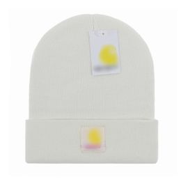 2023 NEW Beanie Caps for Men Women Autumn Winter Warm Thick Wool Embroidery Cold Hat Couple Designer Knitted Fashion Street Hats E-19