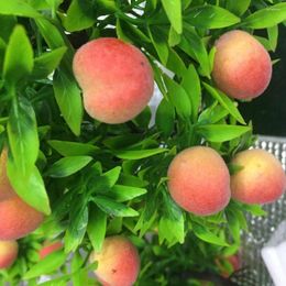 Decorative Flowers Simulation Bonsai Plastic Potted Artificial Peach Fruit Tree Delicate Lightweight Faux Household Supplies