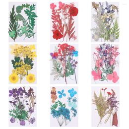 Decorative Flowers 1Bag Dried Pressed Stickers For DIY Phone Case Epoxy Resin Filling Pendant Jewelry Making Crafts Nail Art Decor