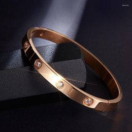 Bangle Titanium Steel Fine Polished Crysals Rose Gold Lovers Open Valentine's Day Gift Jewellery