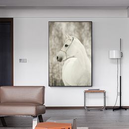 Black and White Horses Animal Posters and Prints Modern Canvas Painting Wall Picture Cuadros for Living Room Home Decoration