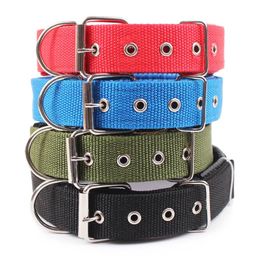 Dog Collars Leashes Solid dog collar nylon suitable for small medium large dogs Teddy Cage Bulldog and Beagle 231117