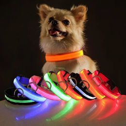 Dog Collars Leashes USB charging LED dog collar safety night light flashing necklace fluorescent pet products 231117