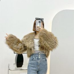 Women's Jackets Women's Fur Coat Winter Raccoon Dog Car Strips Warm Short Luxury Lapel Temperament Thickened