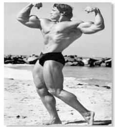 Arnold Schwarzenegge Body Building Art Silk Print Poster 24x36inch60x90cm 0147373240