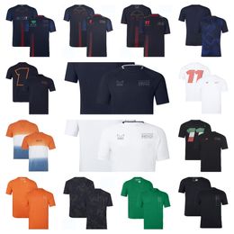 2024 New F1 Team T-shirt Formula One official with the same new hot-selling racing suit for men and women leisure sports quick-drying T-shirt