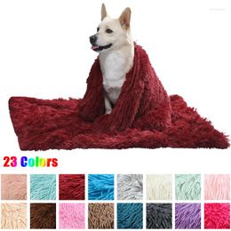 Cat Beds Long Plush Dog Bed Blankets Warm Pet Mat Sleeping For Dogs Cats Kitten Nest Pad Puppy Kennel Home Rug Accessories