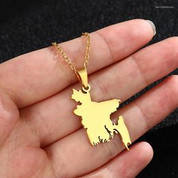 Pendant Necklaces European And American Stainless Steel Bangladesh Map Necklace