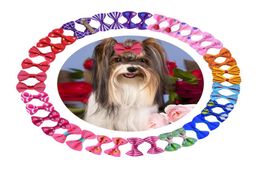 Dog Grooming Bows with Rubber Bands Dogs Topknot Cute Pet Hair Clips Pets Cat Little Flower Bow gifts 36 H15004920