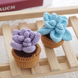 Decorative Flowers Hand-Knitted Cactus Plants Bonsai Artificial Flower Pots Handmade Crochet Original Gift For Cute Room Home Desk Ideas