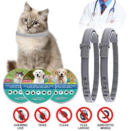 Dog Collars Leashes 1 pet flea and tick collar suitable for dogs cats adjustable preventive collars pest control insect repellent puppy supplies 231117