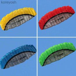 Kite Accessories free shipping 250cm dual line stunt power kites flying toys for kids kite surf beach kites professional wind kites factory sportL231118