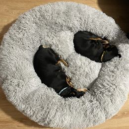 kennels pens Super Large Dog Sofa Bed Round Dog Bed Plush Pet Kennel Bed Mats Pet Cat Bed Winter Warm Sleeping Floor Mats for Large Dog 231117