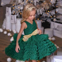 Girl Dresses Puffy Knee-Length Green Flower Wedding Gowns Sleeveless Girls Princess Party First Communion Baby Gown