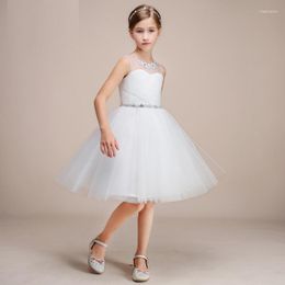 Girl Dresses Flower Princess Skirt Female Children Wedding Evening Spring And Aumtumn Little Bridemaid Gown