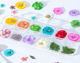 Nail Art Decoration Dried Flower 3D Manicure Polish Summer Real Preserved Floral Leaf Mixed Dry Bloom Tips6841366