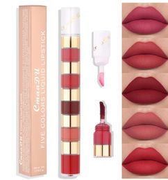 Lipstick Set 5 in 1 Different Colors Long Lasting Waterproof Velvet Lipgloss Set Pigmented Lip Makeup For Girl And Women8931155