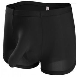 Underpants Fun Panties Men's Underwear Sexy Boxers Shorts Elephant Nose JJ Silk Ice Men Pants