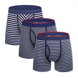 Underpants 3Pcs Open Men's Panties Brand Cotton Boxer Shorts Mens Boxers Sexy Man Underwear Lots Male Family Boxershorts