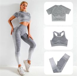 3pcs seamless women yoga set fitness clothes crop top sportswear high waist womens tracksuit sports suits in gym indoor sports8639199